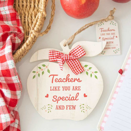 Picture of TEACHERS LIKE TOU ARE SPECIAL AND FEW WOODEN HANGING